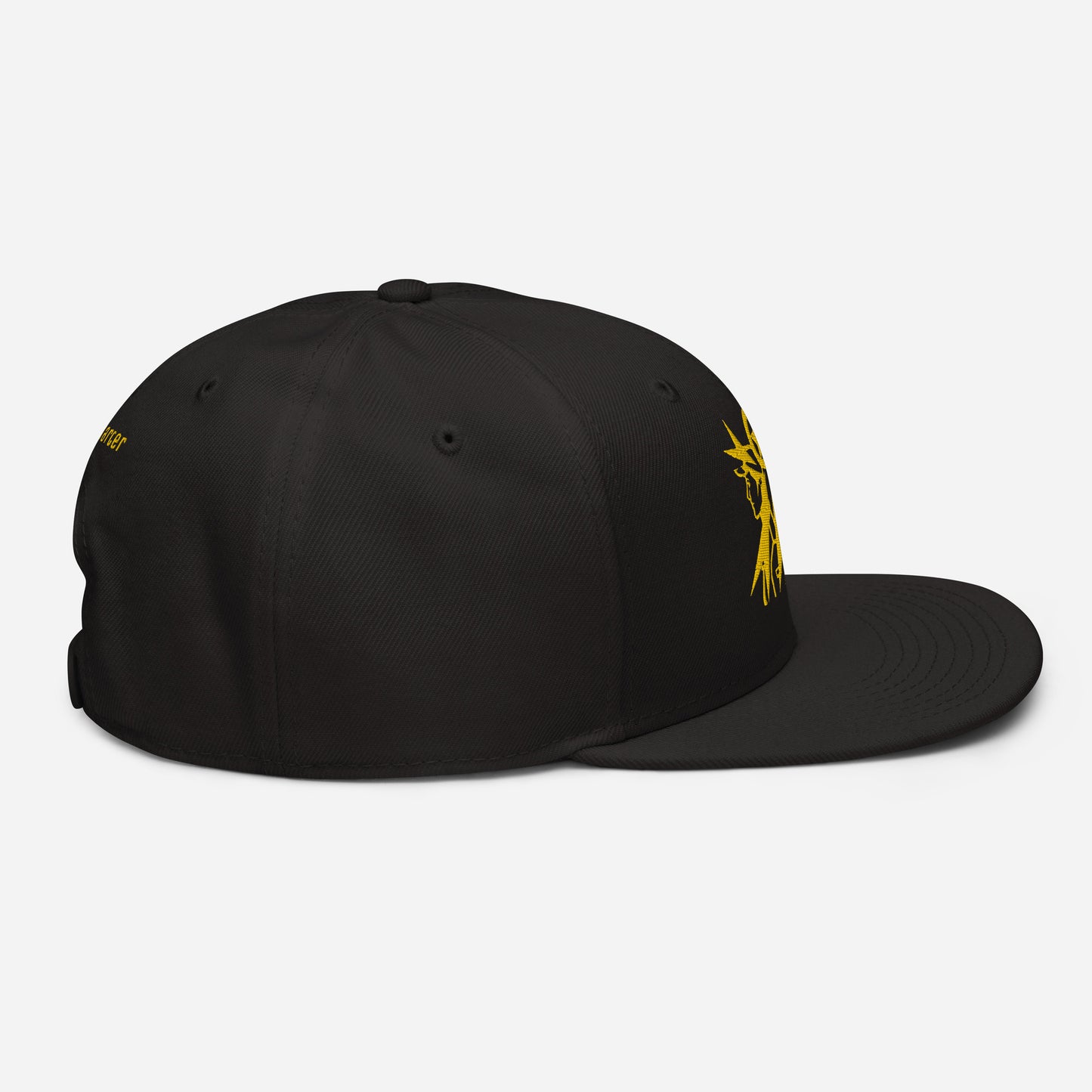 The Charter Snapback